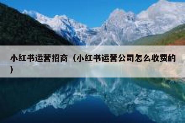 小红书运营招商（小红书运营公司怎么收费的）