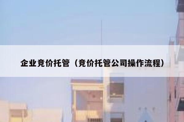 企业竞价托管（竞价托管公司操作流程）