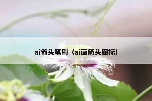 ai箭头笔刷（ai画箭头图标）