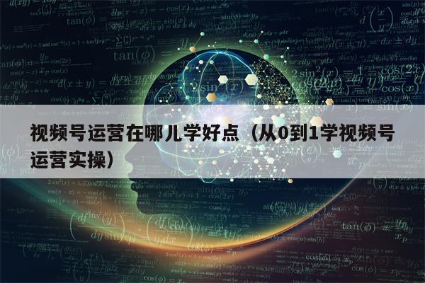 视频号运营在哪儿学好点（从0到1学视频号运营实操）