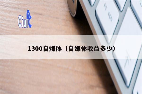 1300自媒体（自媒体收益多少）