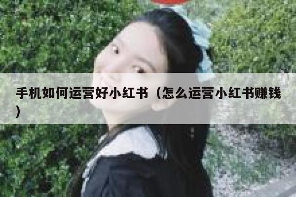 手机如何运营好小红书（怎么运营小红书赚钱）