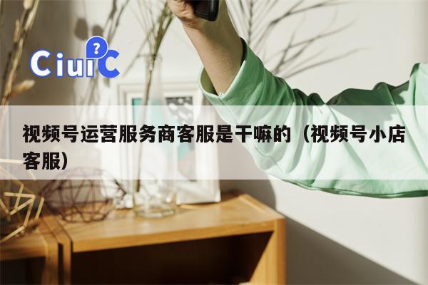 视频号运营服务商客服是干嘛的（视频号小店客服）