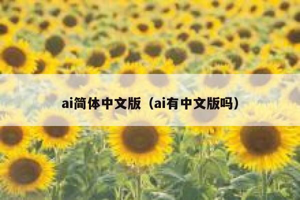 ai简体中文版（ai有中文版吗）