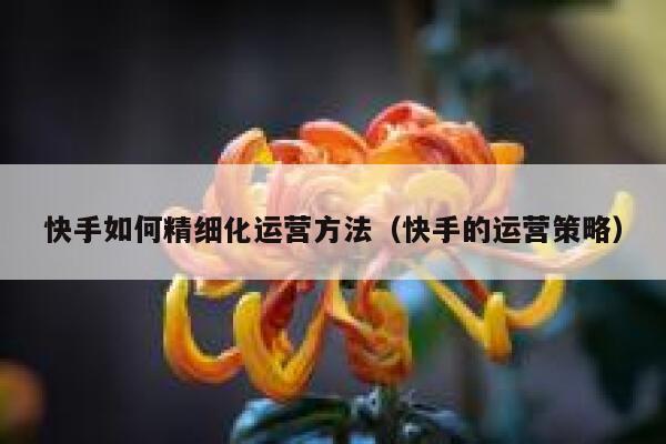 快手如何精细化运营方法（快手的运营策略）