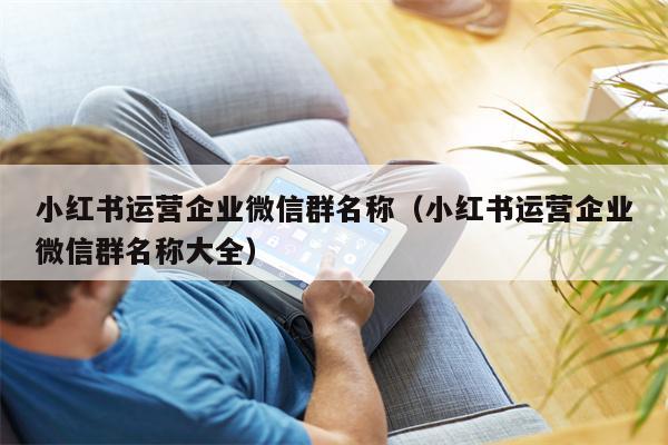 小红书运营企业微信群名称（小红书运营企业微信群名称大全）