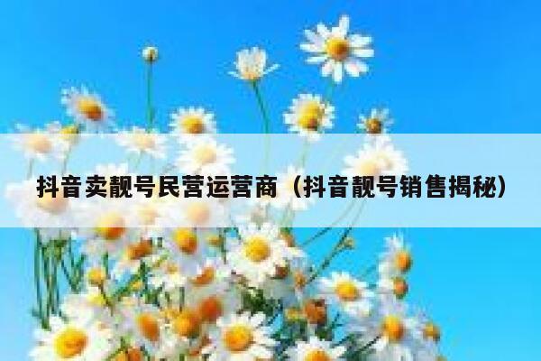 抖音卖靓号民营运营商（抖音靓号销售揭秘）