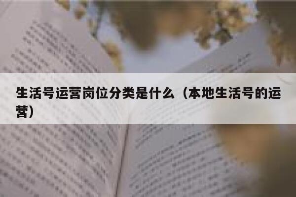 生活号运营岗位分类是什么（本地生活号的运营）