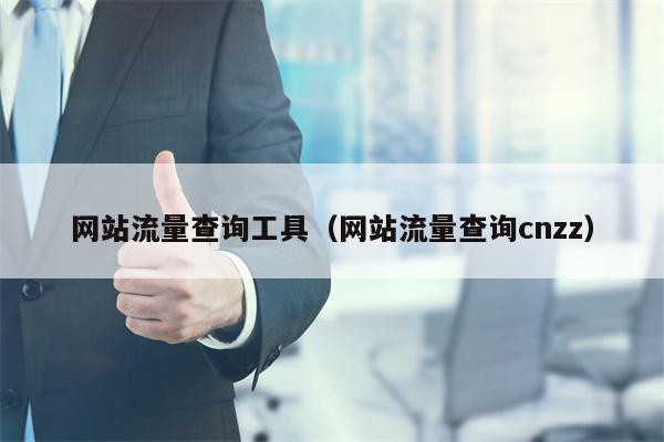 网站流量查询工具（网站流量查询cnzz）