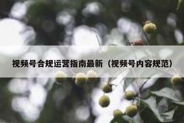 视频号合规运营指南最新（视频号内容规范）