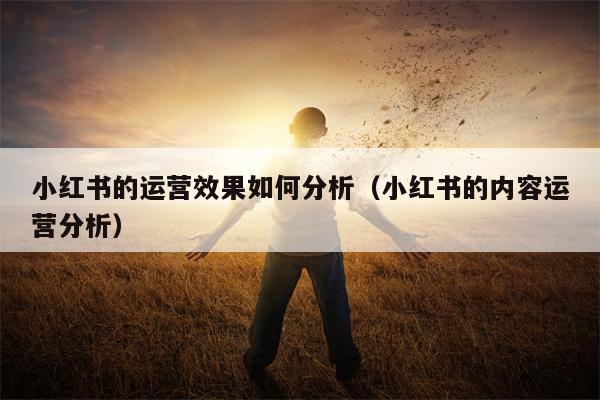 小红书的运营效果如何分析（小红书的内容运营分析）