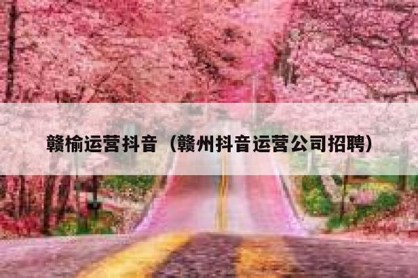 赣榆运营抖音（赣州抖音运营公司招聘）