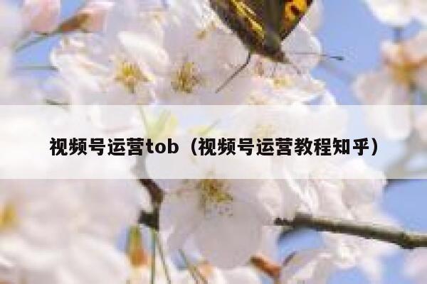 视频号运营tob（视频号运营教程知乎）