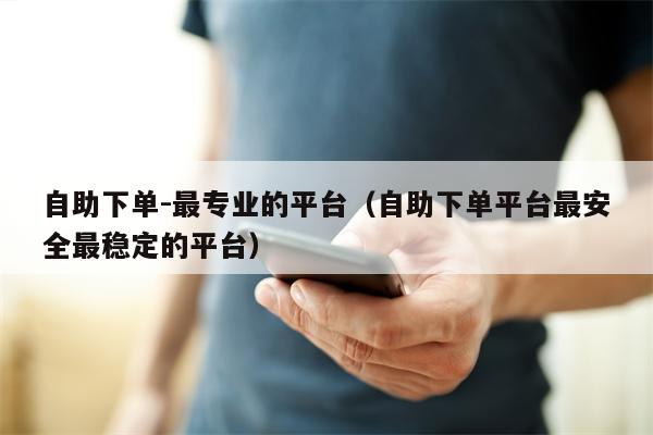 自助下单-最专业的平台（自助下单平台最安全最稳定的平台）