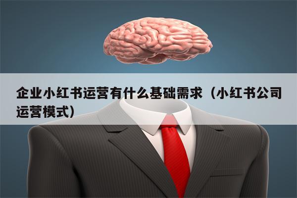 企业小红书运营有什么基础需求（小红书公司运营模式）