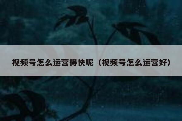 视频号怎么运营得快呢（视频号怎么运营好）