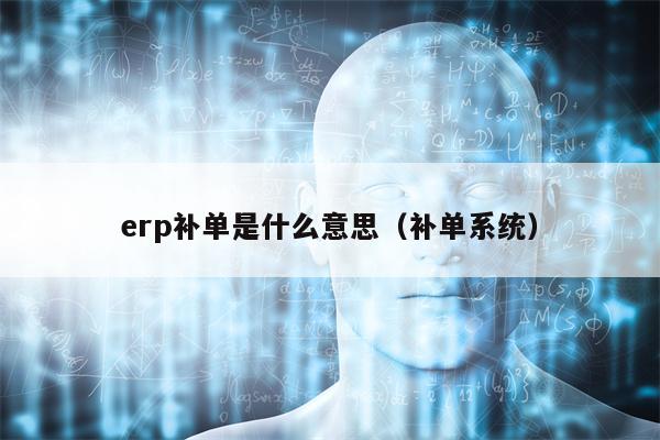 erp补单是什么意思（补单系统）