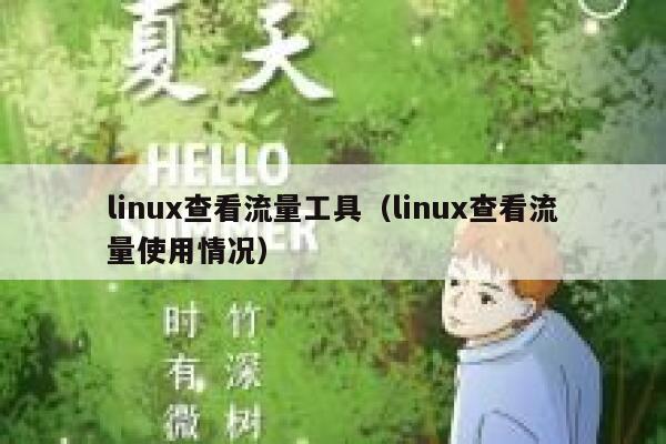 linux查看流量工具（linux查看流量使用情况）