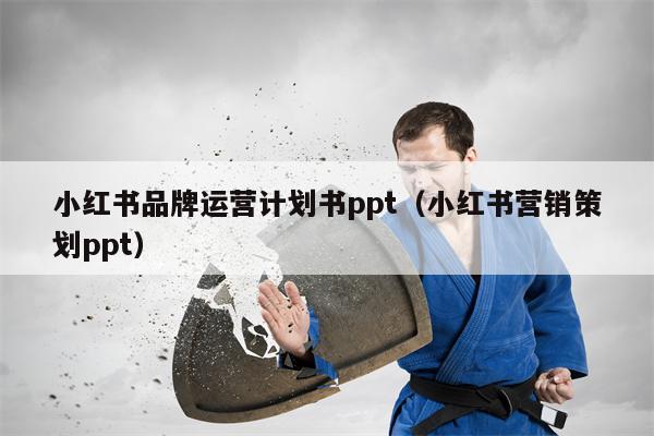 小红书品牌运营计划书ppt（小红书营销策划ppt）