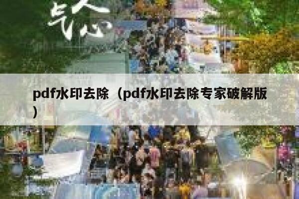 pdf水印去除（pdf水印去除专家破解版）