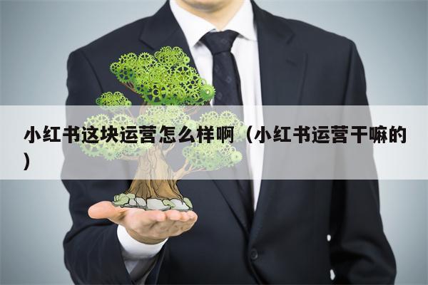 小红书这块运营怎么样啊（小红书运营干嘛的）