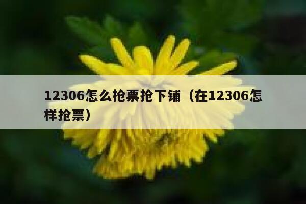 12306怎么抢票抢下铺（在12306怎样抢票）