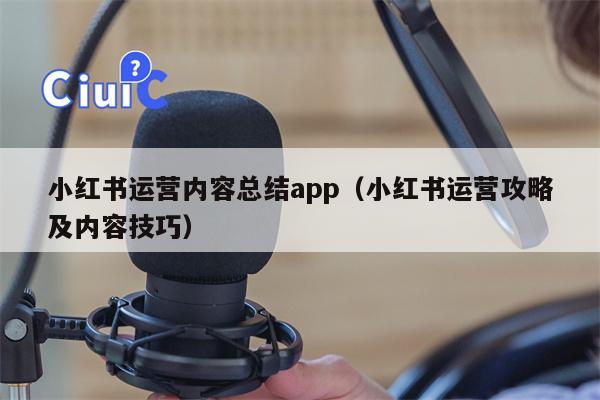 小红书运营内容总结app（小红书运营攻略及内容技巧）