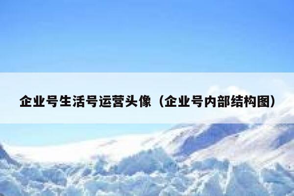 企业号生活号运营头像（企业号内部结构图）