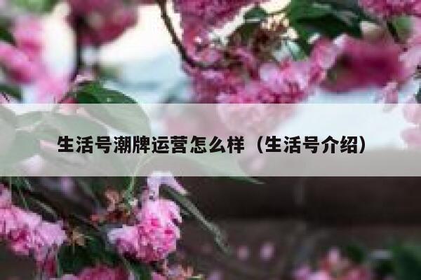 生活号潮牌运营怎么样（生活号介绍）