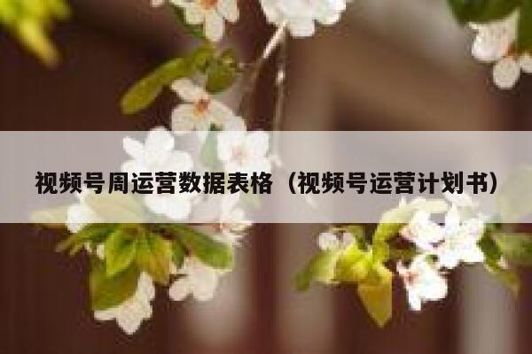 视频号周运营数据表格（视频号运营计划书）