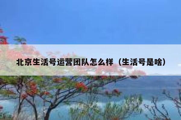 北京生活号运营团队怎么样（生活号是啥）