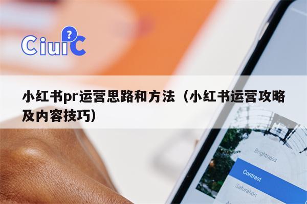 小红书pr运营思路和方法（小红书运营攻略及内容技巧）