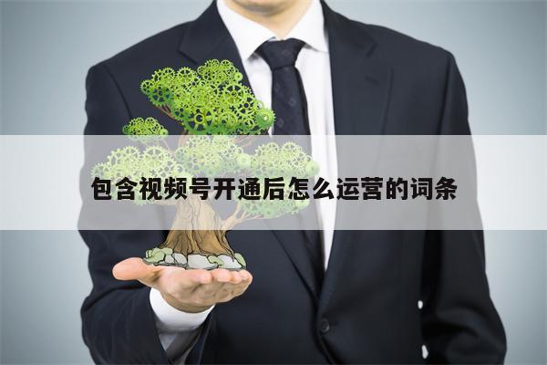 包含视频号开通后怎么运营的词条