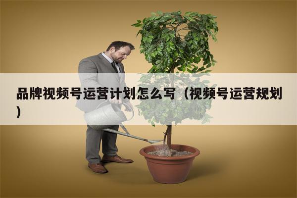 品牌视频号运营计划怎么写（视频号运营规划）