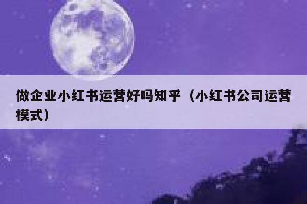 做企业小红书运营好吗知乎（小红书公司运营模式）