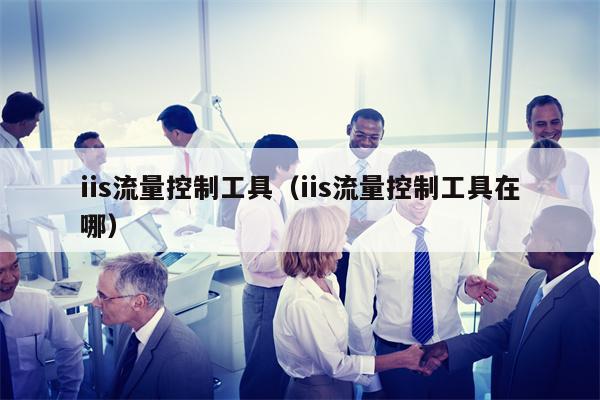 iis流量控制工具（iis流量控制工具在哪）