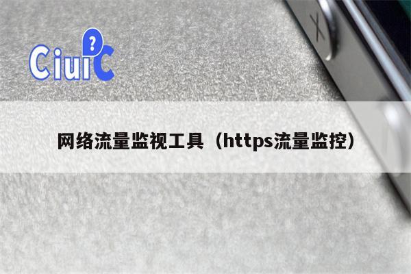 网络流量监视工具（https流量监控）