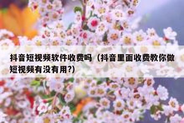 抖音短视频软件收费吗（抖音里面收费教你做短视频有没有用?）