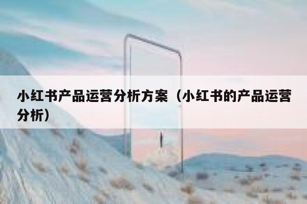 小红书产品运营分析方案（小红书的产品运营分析）