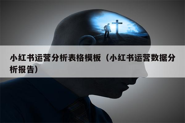 小红书运营分析表格模板（小红书运营数据分析报告）