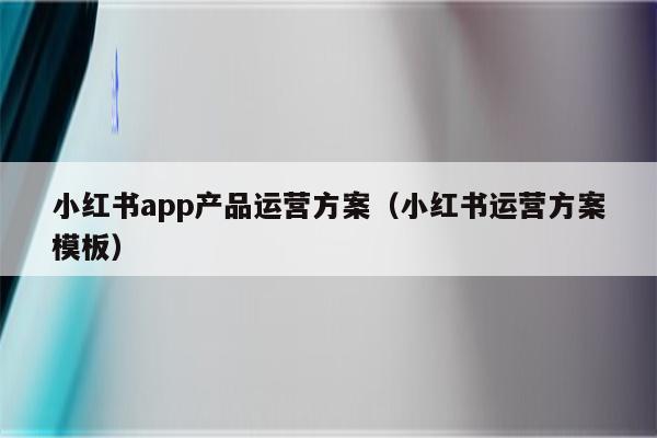 小红书app产品运营方案（小红书运营方案模板）