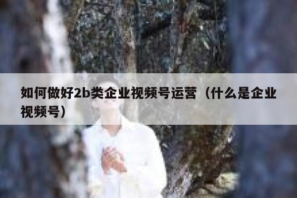 如何做好2b类企业视频号运营（什么是企业视频号）