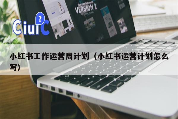 小红书工作运营周计划（小红书运营计划怎么写）