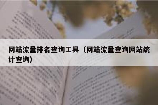 网站流量排名查询工具（网站流量查询网站统计查询）