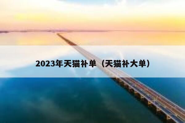 2023年天猫补单（天猫补大单）