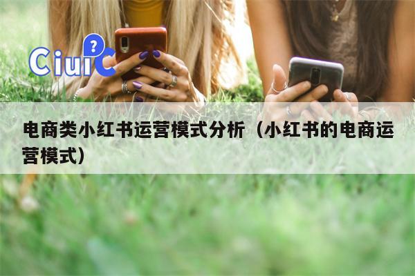 电商类小红书运营模式分析（小红书的电商运营模式）