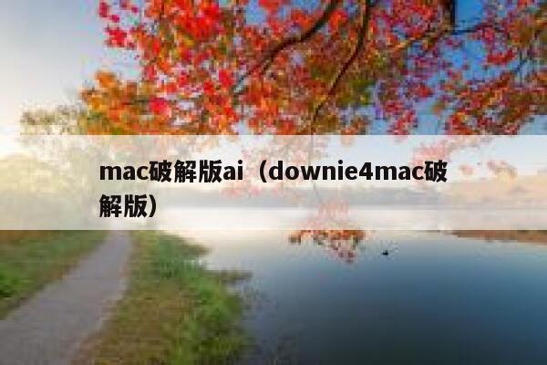 mac破解版ai（downie4mac破解版）