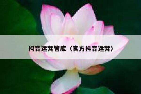 抖音运营管库（官方抖音运营）