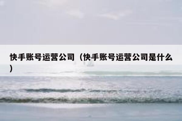 快手账号运营公司（快手账号运营公司是什么）