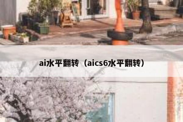 ai水平翻转（aics6水平翻转）